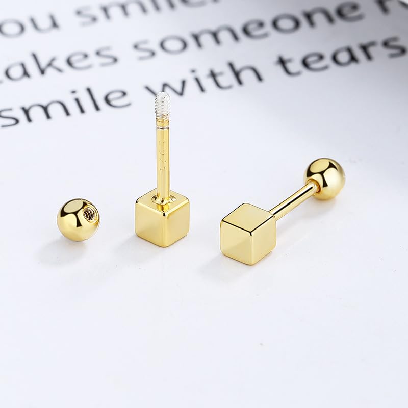 Rockyu シルバー925 キューブスクエア スタッドピアス スクリューバック