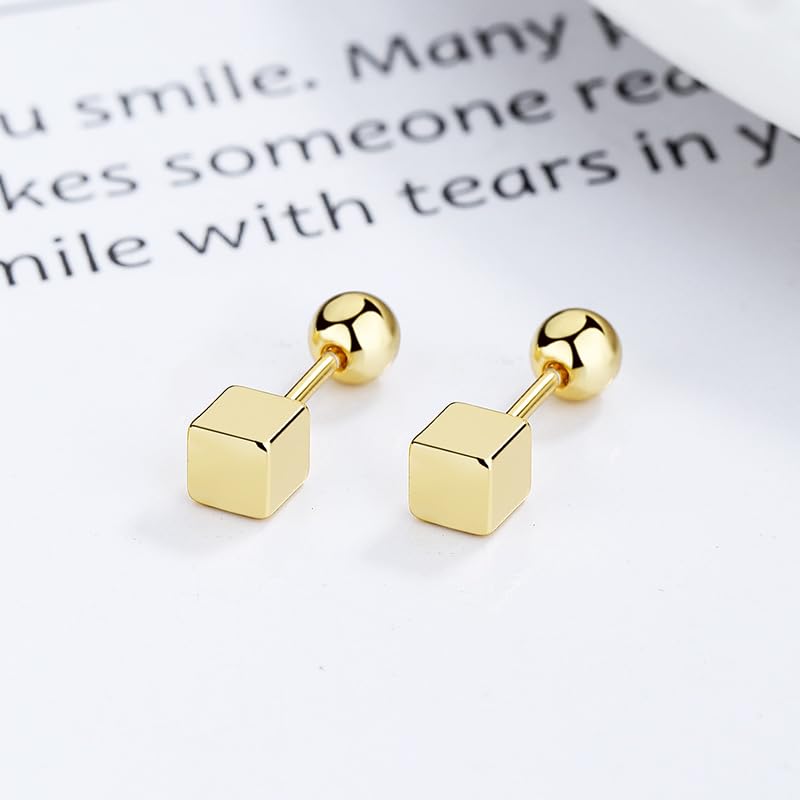 Rockyu シルバー925 キューブスクエア スタッドピアス スクリューバック