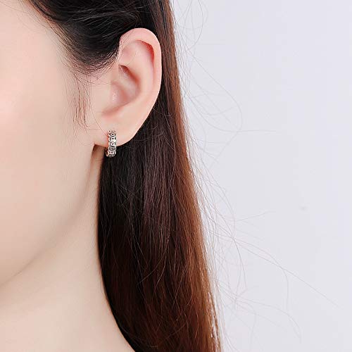 ピアス レディース フープ 小さい シルバー925 銅銭モチーフ