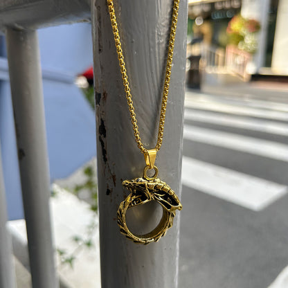 Rockyu ドラゴンネックレス メンズ オウロボロスデザイン ステンレス製 シルバー/ブラック/ゴールド