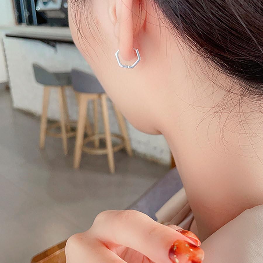 Rockyu ピアス レディース シルバー925 フープ 六角形＆ツイスト 小さめ ジルコニア 男女兼用