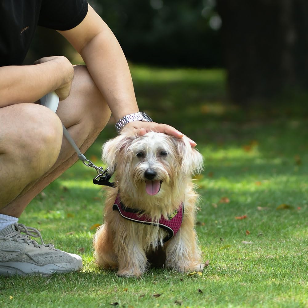 Rockyu メモリアルネックレス ステンレス製 遺骨ペンダント 高級鏡面仕上げ 手元供養用ネックレス