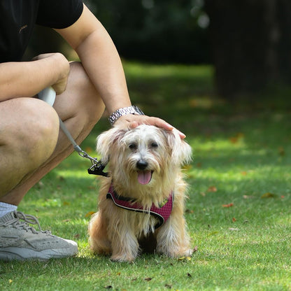Rockyu メモリアルネックレス ステンレス製 遺骨ペンダント 鏡面＆艶消し仕上げ 手元供養 記念アクセサリー