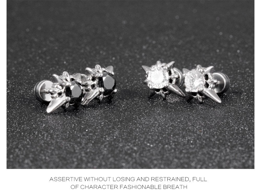 Rockyu ステンレス製メンズピアス ジルコニア 芒星クロスデザイン アレルギー対応 シルバー ギフト